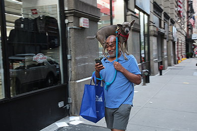 Photos : Richard Moore : Photographer